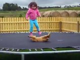 Daily Best - Meet the Trampoline Kitty!