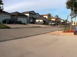 Daily Best - This is the geese marathon!