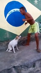 Un chien et un enfant dansent en rythme