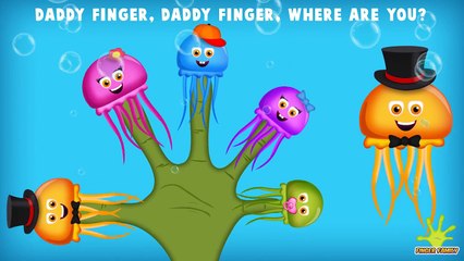 The Finger Family Jellyfish Family Nursery Rhyme | Jellyfish Finger Family Songs