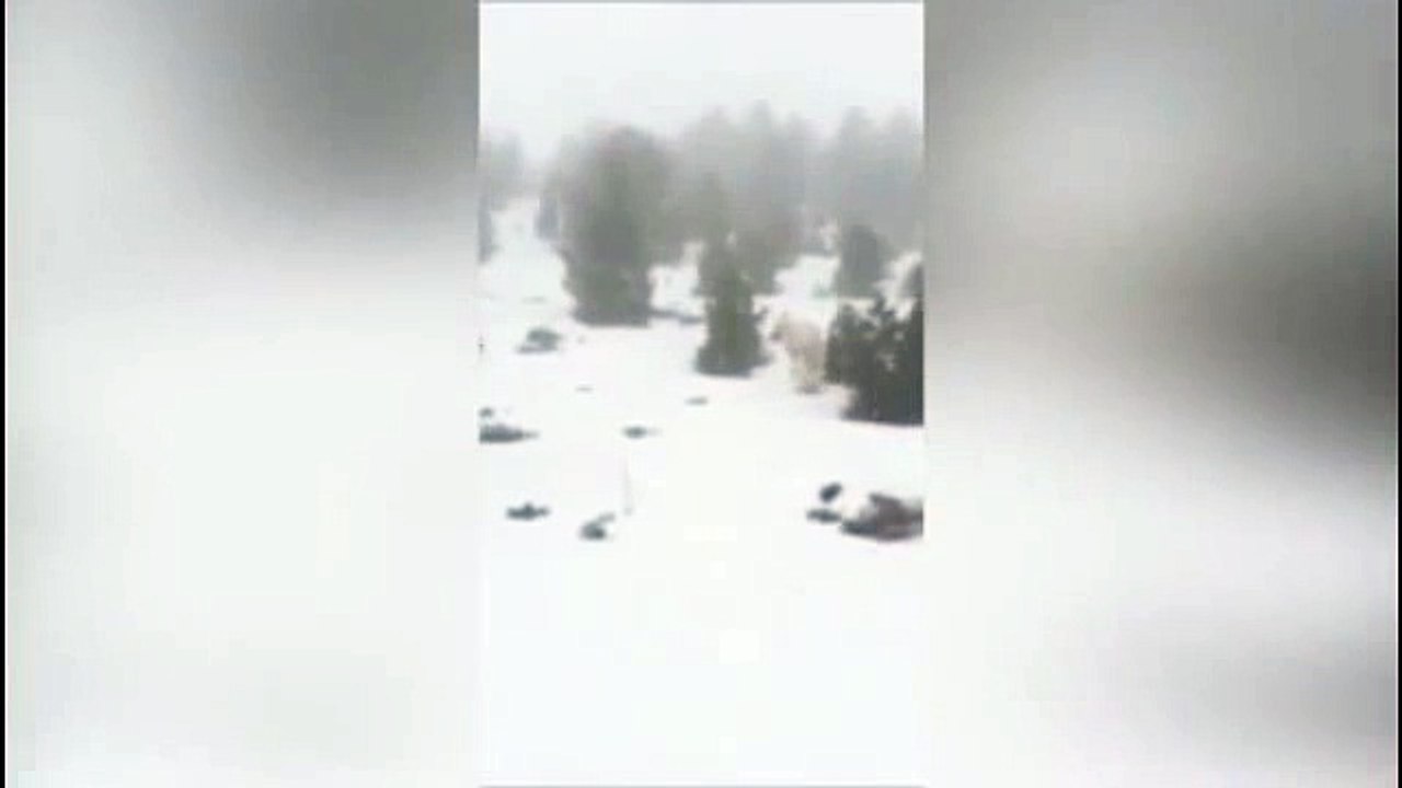 Yeti spotted in Spain  Is this footage of the legendary snowman