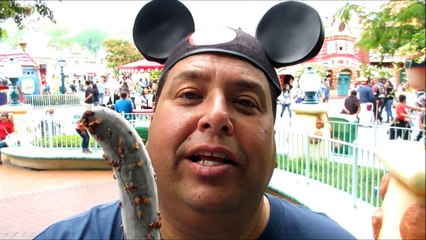 Disneyland® Grubbing | Chocolate Covered Banana!