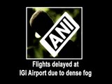 Flights delayed at IGI Airport due to dense fog