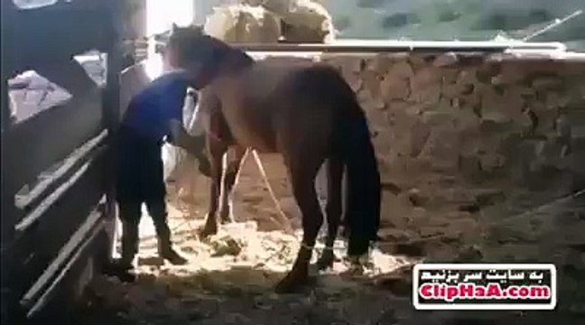 horse k pass jany sy pehly ye video lazmi daikh lain es bandy k sath kia huwa