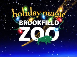 Holiday Magic at Brookfield Zoo - 30 second commercial