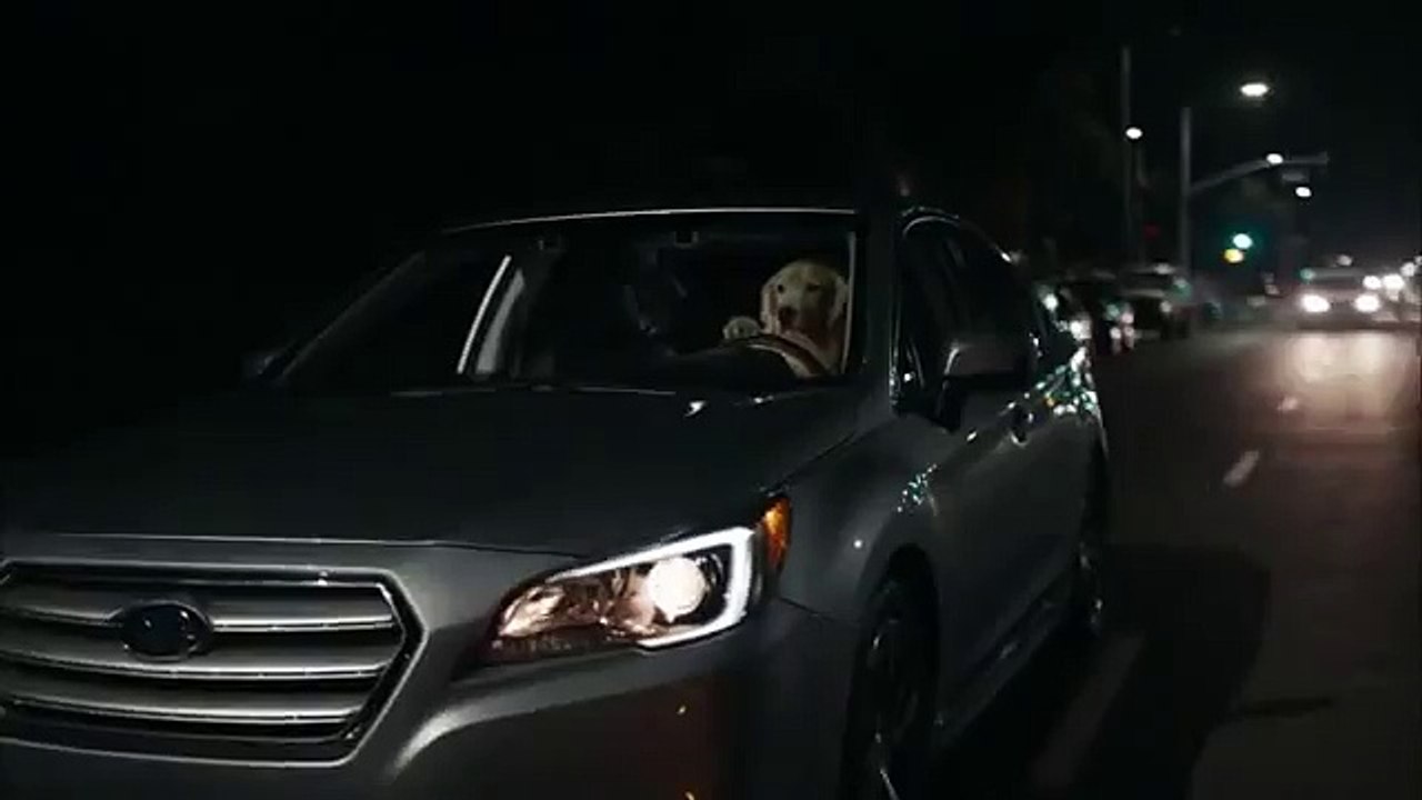 Subaru Super Bowl Commercial 2016 Dog Tested- Puppy (#SuperBowl50)