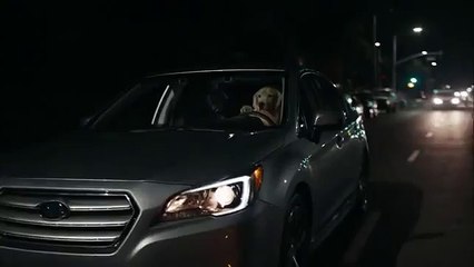 Subaru Super Bowl Commercial 2016 Dog Tested- Puppy (#SuperBowl50)