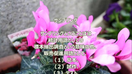 サンプリング～JDPアセットマネジメント資産管理用語集