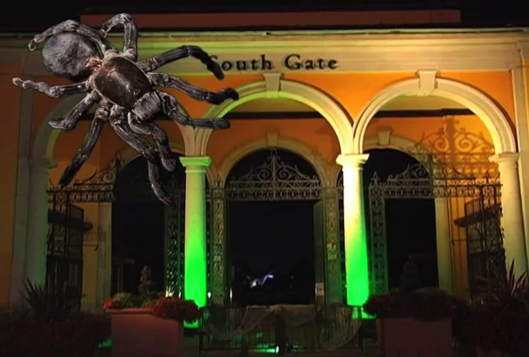 Creatures of the Night 2012 at Brookfield Zoo