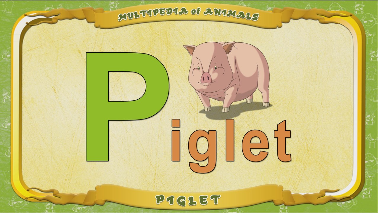 Multipedia of Animals. Letter P - Piglet