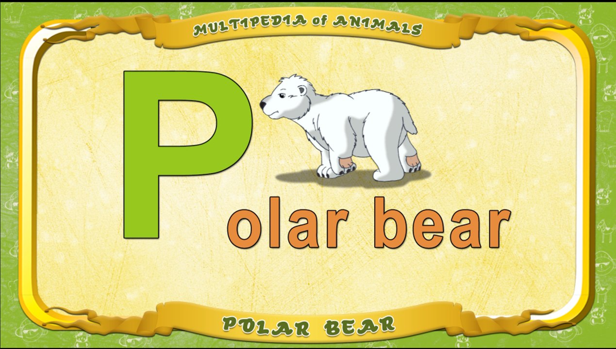 Multipedia of Animals. Letter P - Polar bear