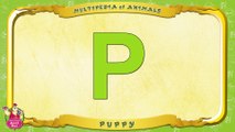 Multipedia of Animals. Letter P - Puppy
