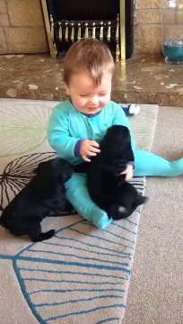 Cute Baby Play With Cute Little Puppies (Very Sweet Playing)