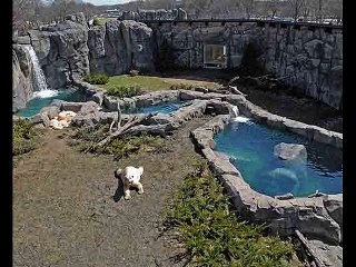 Great Bear Wilderness Opens May 8