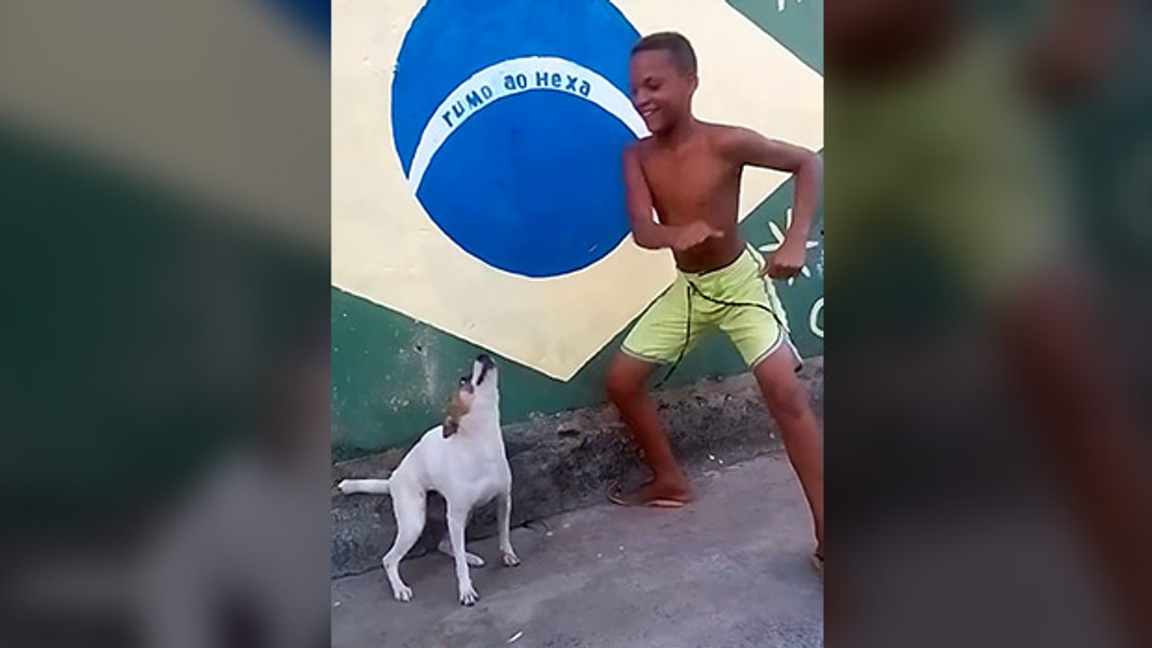 Dog dancing to store africa