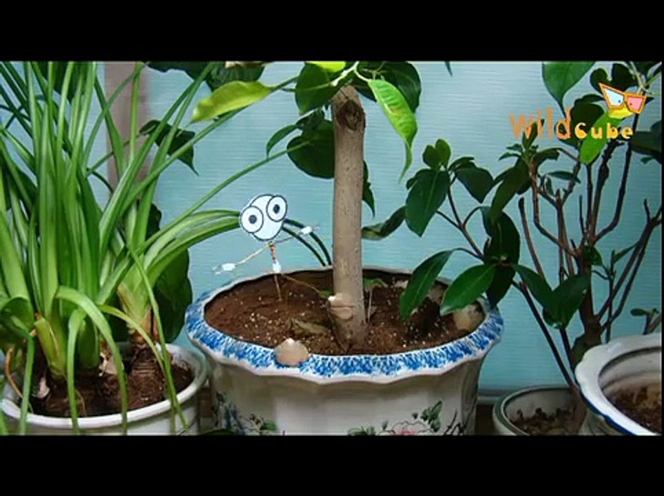 클레이 요정 몽몽이 [Ep13] 몽몽이는 정글의 왕자 타잔