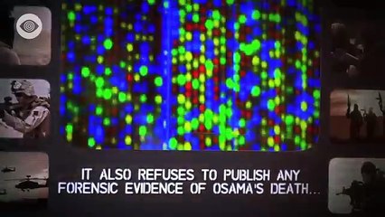 Is Osama Bin Laden Still Alive-