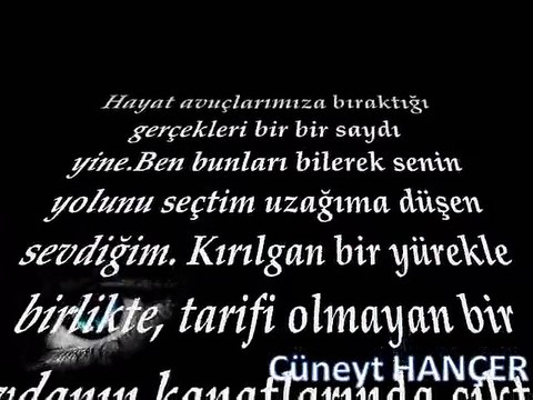 Bu aşk dokuz canlı