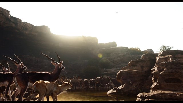 Speaking Animals in Jungle Book Movie had their Super Bowl 50 Commercial Trailer