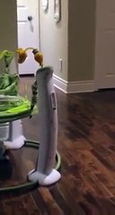 Evdeki Bütün Kapıları Çalıp _Ufak_ Diyen Garip Bir Kelime Haznesi Olan Sevimli Bebik