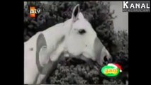 Nostaljik Reklamlar - Efes Pilsen - TEK PARÇA - TV REKLAMLARI