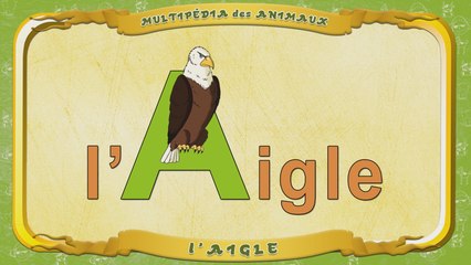 Multipédia des animaux. La lettre A - l'Aigle