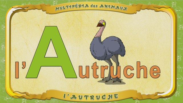 Multipédia des animaux. La lettre A - l'Autruche