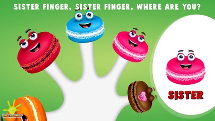 The Finger Family Macaroon Family Nursery Rhyme | Macaroon Finger Family Songs