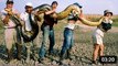 Giant Snake - Anaconda Eats Man Alive | Must Watch Video |