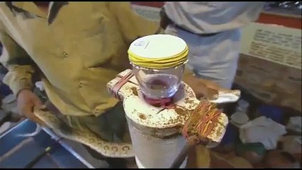 Efeitos do Veneno de Cobra no Sangue