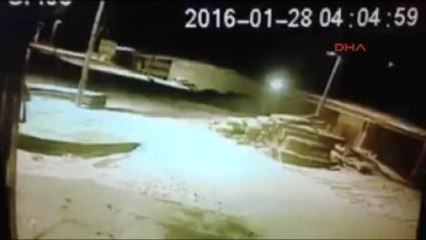 Kars Aç Kalan Kurtlar Kars'a İndi