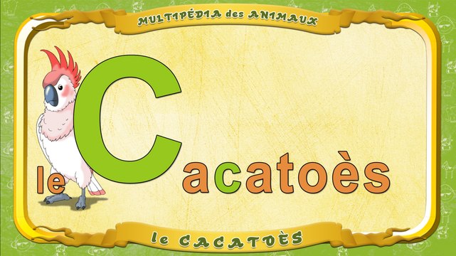 Multipédia des animaux. La lettre C - le Cacatoès