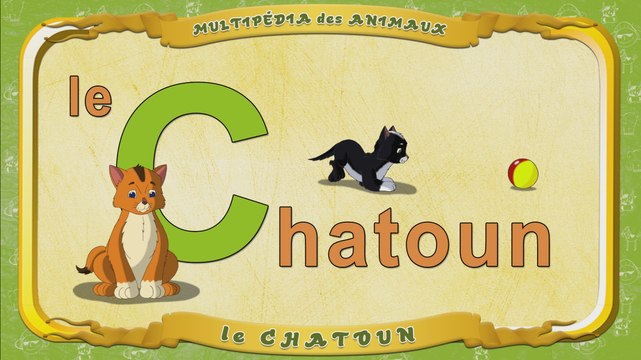 Multipédia des animaux. La lettre C - le Chatoun