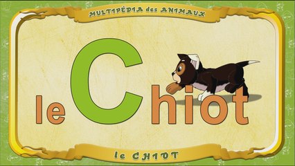 Multipédia des animaux. La lettre C - le Chiot