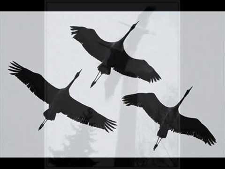 Журавли - Старое эмигрантское танго