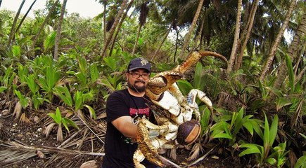 Il se prend en photo avec un crabe géant