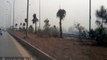 Billion Tree Tsunami - Plantation along Motorway in Peshawar
