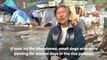 Une sud-coréenne élève 200 chiens qu'elle a sauvés de la mort
