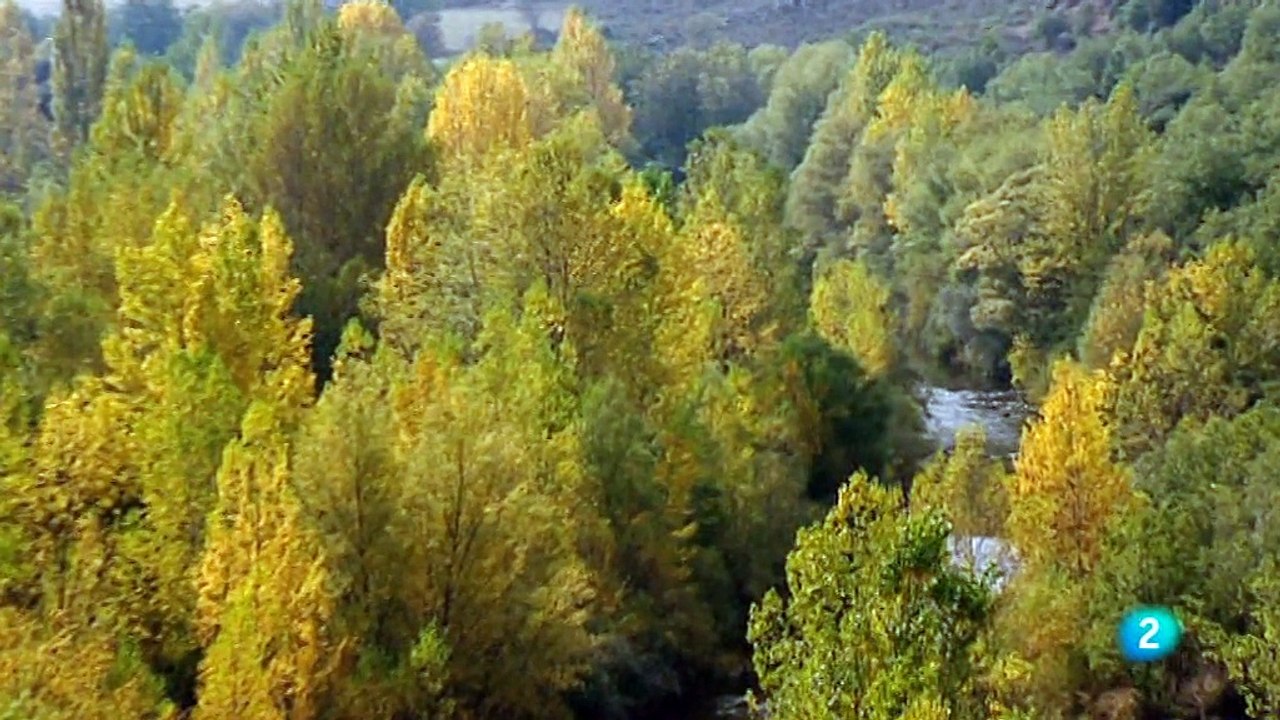 06 Memoria de España - Del Imperio cristiano a los reinos bárbaros