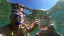 snorkling with turtles