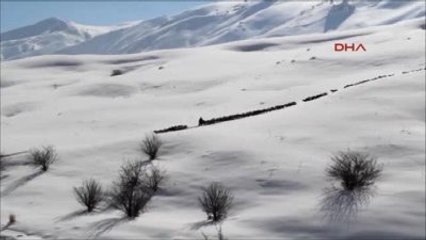 Van Doğuda Kış Çilesi