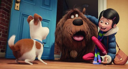 The Secret Life Of Pets : Super Bowl TV Spot (2016)
