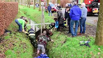 en logon ny bohat mushkil sy eski jaaan bachai hy