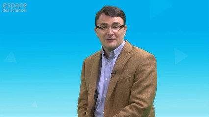 Développement de vecteurs synthétiques pour le transfert de gènes