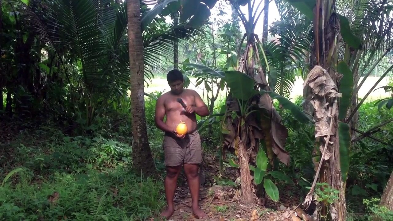 Coconut message
