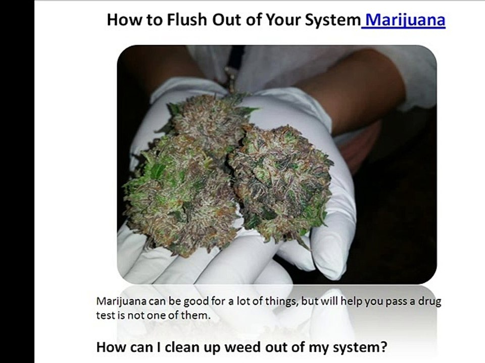 How to Flush Out of Your System Marijuana