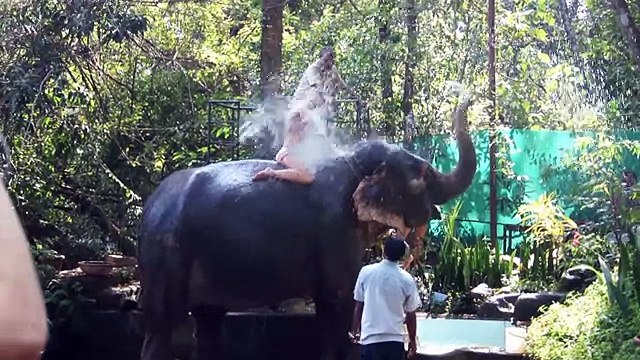 Индия Гоа. Наше предновогоднее путешествие! Первый раз на серфе! Серфинг!