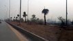 Billion Tree Tsunami: Plantation Along Motorway in Peshawar, Exclusive Video
