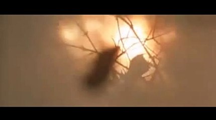 사설토토사이트추천【 KOP77。COM 】마이크로게임