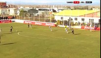 GOOOOAL Amedspor 2-2 Fenerbahçe 09.02.2016